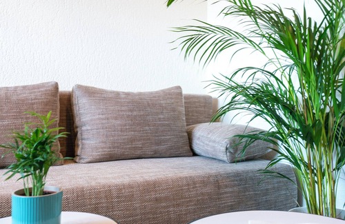 Schwarzenburg Hotel | Discover Hotel Restaurant Sonne: Family-Friendly Escape