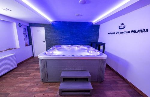 Uhersky Brod Hotel | Relax at Hotel & SPA centrum PALMIRA with Unique Amenities