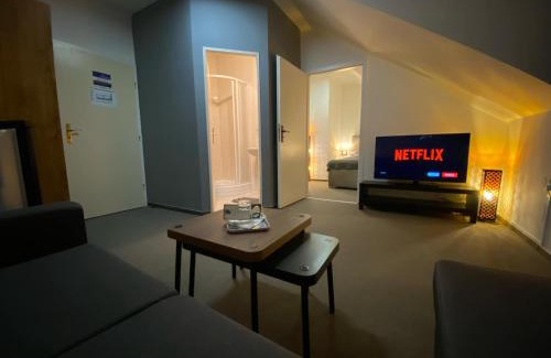 Uhersky Brod Hotel | Relax at Hotel & SPA centrum PALMIRA with Unique Amenities