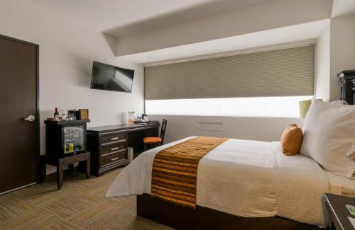 Leon Hotel | Elegant Hotel Stadium: Ocean View, Pet-Friendly Paradise