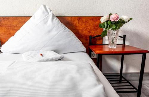 Stockach Hotel | Family and Pet Friendly Stay at Hotel Stern
