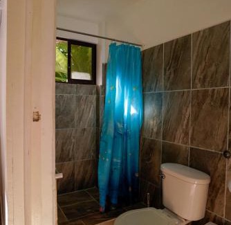 Pavones House | Experience Hotel Swell Pavones: Oceanfront Escape Awaits