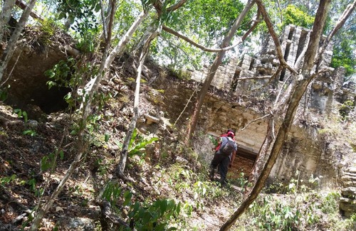 Xpujil Hotel | Pet Friendly Getaway at Hotel Templo Maya with Breakfast