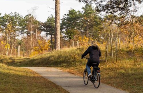 Westenschouwen Hotel | Oceanfront Boutique Hotel ter Zand - Family Friendly Retreat