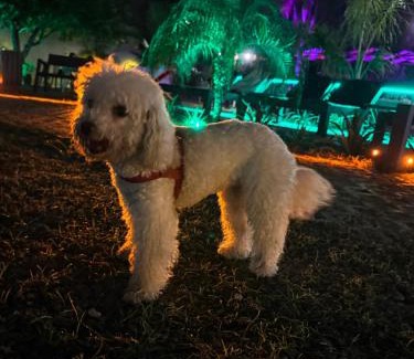 Termas de Rio Hondo Hotel | Pet Friendly Hotel Termal Emperatriz with Pool & Spa