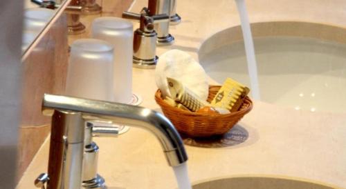 Curia Hotel | Discover Hotel Termas da Curia: Pet-Friendly Retreat