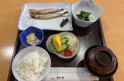 Hakodate Hotel | Discover Hotel Tetora Yunokawaonsen - Ideal for Families