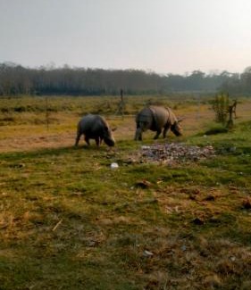Sauraha Hotel | Discover Hotel Tiger Tops Sauraha with Ocean Views & Spa