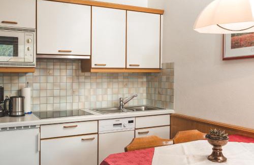 Ladis Apartment | Pet Friendly Hotel Tirol Appartements with Hot Tub Access