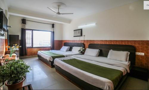 Katra Hotel | Pet Friendly Hotel Today in Katra: Rated 8/10 by Guests
