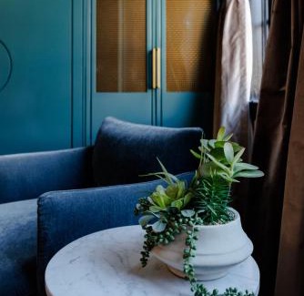 Columbia Hotel | Unmatched Comfort at Hotel Trundle - Perfect for Families