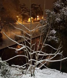 Limena Hotel | Discover Comfort at Hotel Valbrenta: Pet-Friendly Stay