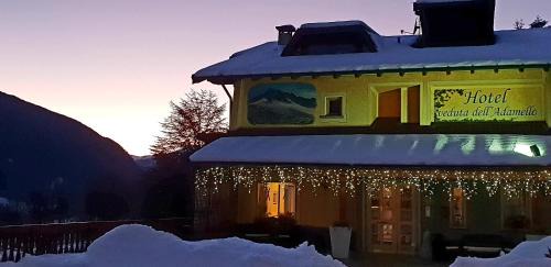 Temu Hotel | Elegant Hotel Veduta dell'Adamello: Spa & Pet Friendly Stay