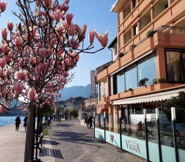 Salo Hotel | Eco-Friendly Hotel Vigna: Guest Rated 9/10 with Pool