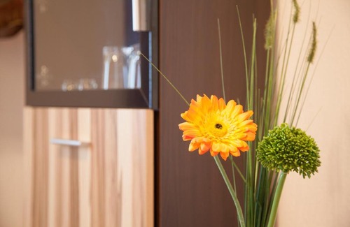 Guentersberge House | Pet-Friendly Hotel Waldoase Hirschbüchenkopf with Pool