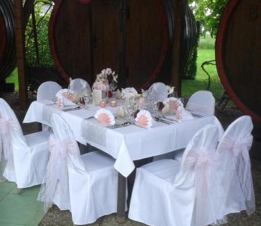 Bad Camberg Hotel | Explore Comfort at Hotel Waldschloss with Premium Amenities