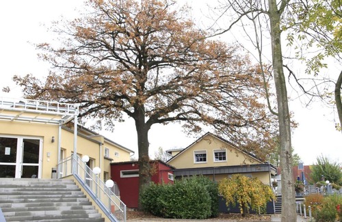 Porta Westfalica Hotel | Discover Hotel Weserschiffchen: Pet-Friendly Elegance