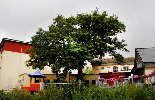 Porta Westfalica Hotel | Discover Hotel Weserschiffchen: Pet-Friendly Elegance