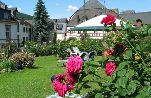 Zeltingen-Rachtig Hotel | Discover Hotel Winzerverein: Pool, Hot Tub & 9/10 Rating