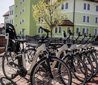 Lutzmannsburg Hotel | Relaxing Getaway at Hotel Xylophon with Spa Access