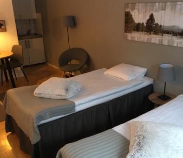 Kemi Hotel | Cozy Hotel Yöpuu: Family-Friendly with Hot Tub & Breakfast