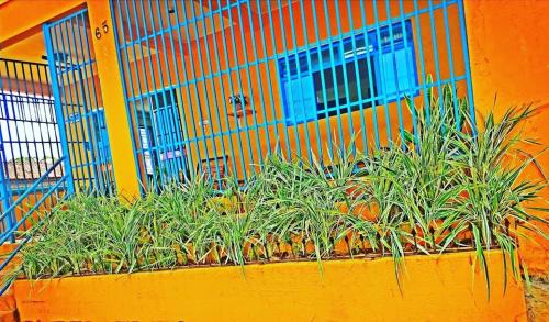 Rio Verde Hotel | Budget-Friendly Hotel Ypê: Pet and Child Friendly Stay