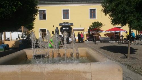Velka Bystrice Hotel | Pet-Friendly Hotel Zámek Velká Bystřice with Top Amenities