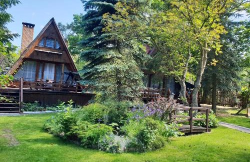 Cierpice Resort | Explore Hotel Zakątek Leśny: Pet-Friendly Comfort Awaits