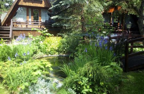 Cierpice Resort | Explore Hotel Zakątek Leśny: Pet-Friendly Comfort Awaits