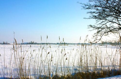 Fedderwardersiel Hotel | Guest Rated: Hotel Zur Fischerklause - Family-Friendly Escape