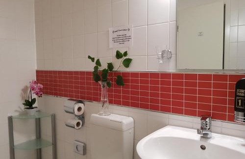 Ottendorf-Okrilla Hotel | Discover Hotel Zwei Linden: Pet-Friendly with Pool & Dining