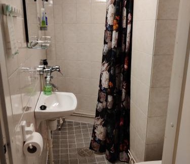 Kotka Hotel | Pet-Friendly Hotelli Merikotka: Family Fun Awaits!