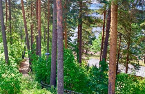 Forssa Hotel | Pet-Friendly Retreat: Hotelli Mesku Forssa Awaits You
