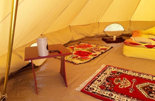 Ocna Sugatag Other | Discover Hotelul de Bumbac-Crapul Furios: Pet-Friendly Retreat