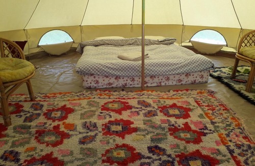 Ocna Sugatag Other | Discover Hotelul de Bumbac-Crapul Furios: Pet-Friendly Retreat