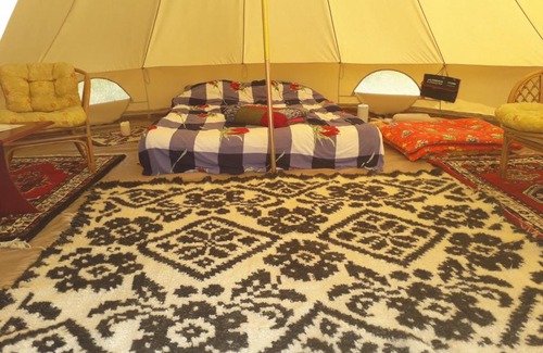 Ocna Sugatag Other | Discover Hotelul de Bumbac-Crapul Furios: Pet-Friendly Retreat