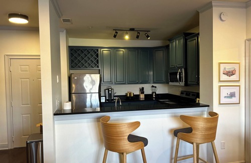 Tuscaloosa Condo | Discover Houndstooth Heaven: Steps from Bryant Denny Stadium