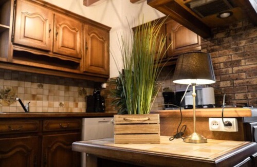 Voillecomte House | House 5 minutes from Lac du Der!