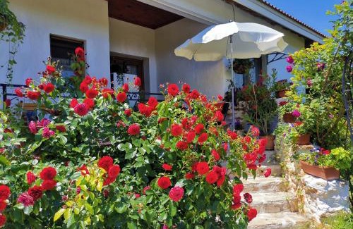 Durankulak Hotel | Outstanding House Albena: Guest Rated 9.8 with Restaurant