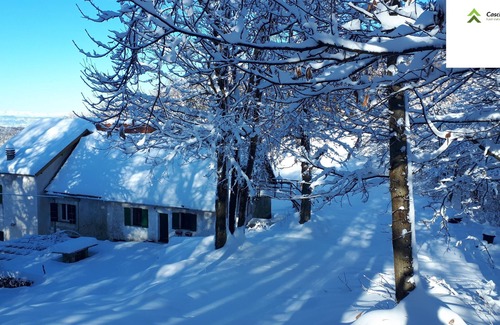 Urbe Apartment | Cozy House in the Forest - Pet Friendly with Breakfast