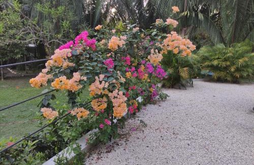 Puerto Carrillo House | Serene House in the Palm Forest with Pool & Pet-Friendly Options