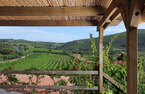 Magomadas Apartment | Scenic Vineyard House with Ocean View and Spa Amenities