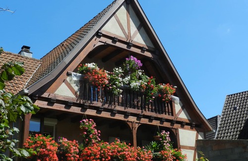 Triembach-au-Val House | Experience House "Les Prés de Malou" - Guest Rated 10/10