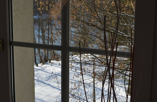 Frankenhain Apartment | Relaxing Retreat at House Lütsche by the Thuringian Lake