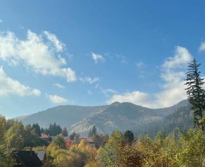 Baile Tusnad House | Unforgettable Strada Tiszás Vacation House with Hot Tub