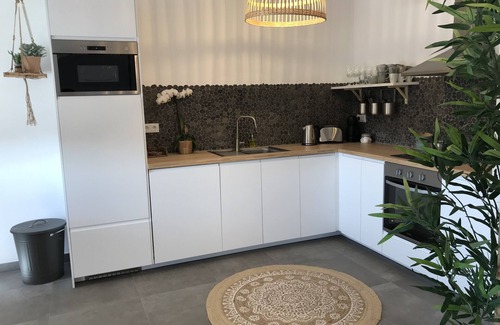 Praia de Mira Apartment | Beautiful House on the River: Bico das Flores with Ocean View