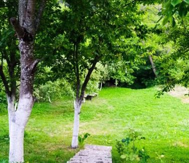 Novi Grad Sarajevo House | Oceanfront Retreat at House Sarajevo - Top-Rated Stay!