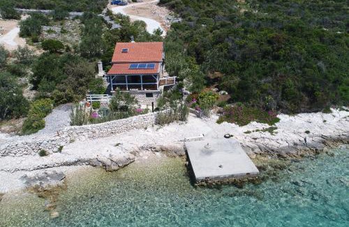 Tkon House | Experience House Starfish: Pet-Friendly Oceanfront Retreat