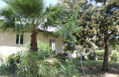 Cargese House | Tranquil Retreat: Nature-Filled T2 Near the Beach
