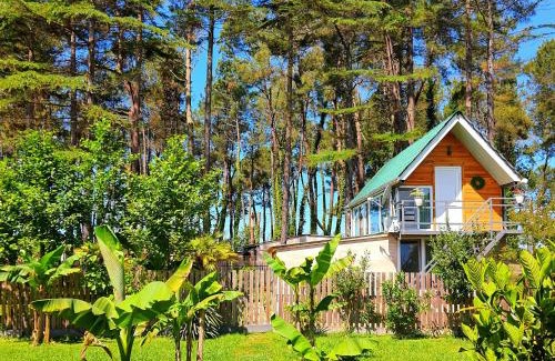 Ureki House | Sunny Retreat at House & Yard Sesil - Steps to the Beach